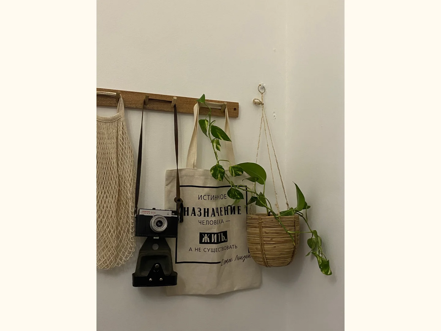 A wooden peg rail holding a bag and camera beside a plant.