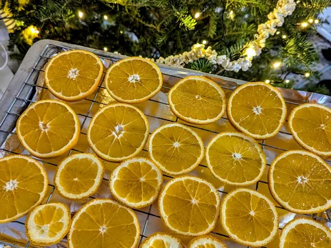Orange slices on a drying rack beside a decorated Christmas tree.